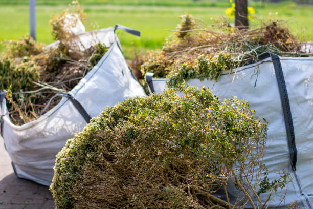 Best Local Junk Hauling  in New Athens, IL
